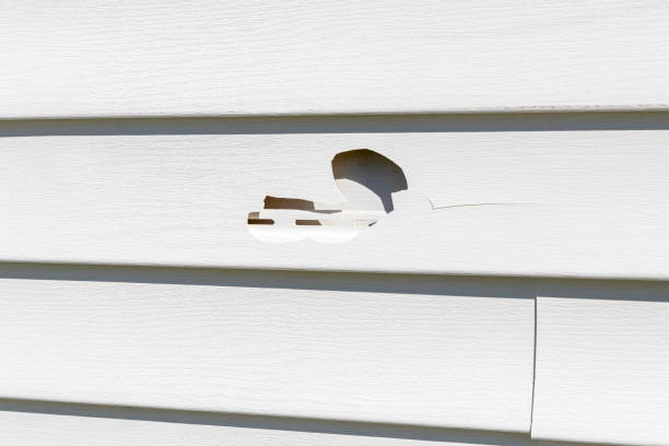 Best Siding Painting and Refinishing  in Bridgeville, DE