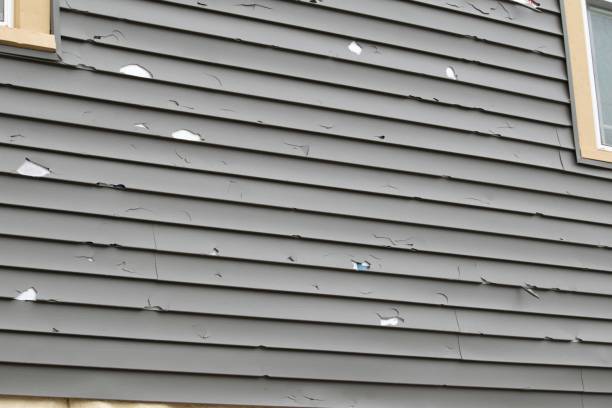 Best Vinyl Siding Installation  in Bridgeville, DE